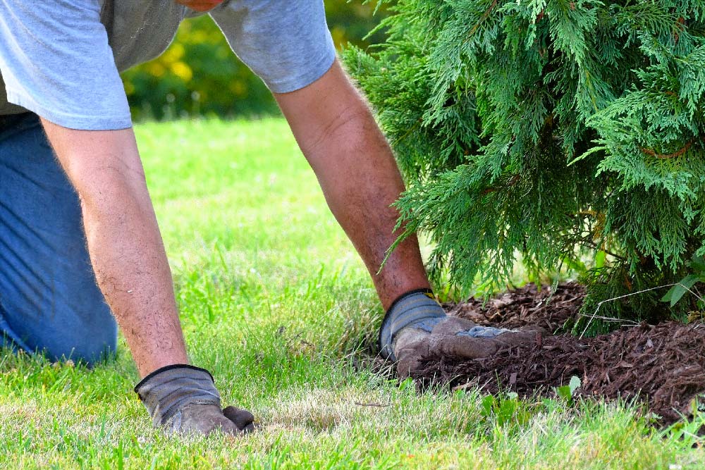 man doing yard work chores by spreading mulch arou 2021 09 01 17 52 05 utc