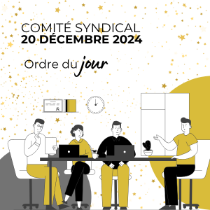 comite syndical noel