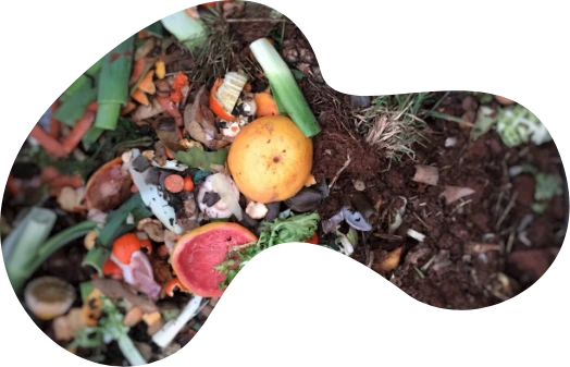 compost 2021 08 29 00 57 18 utc