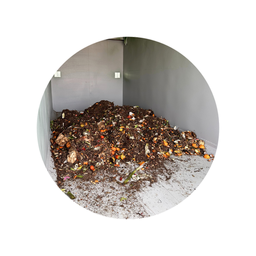 fermentation